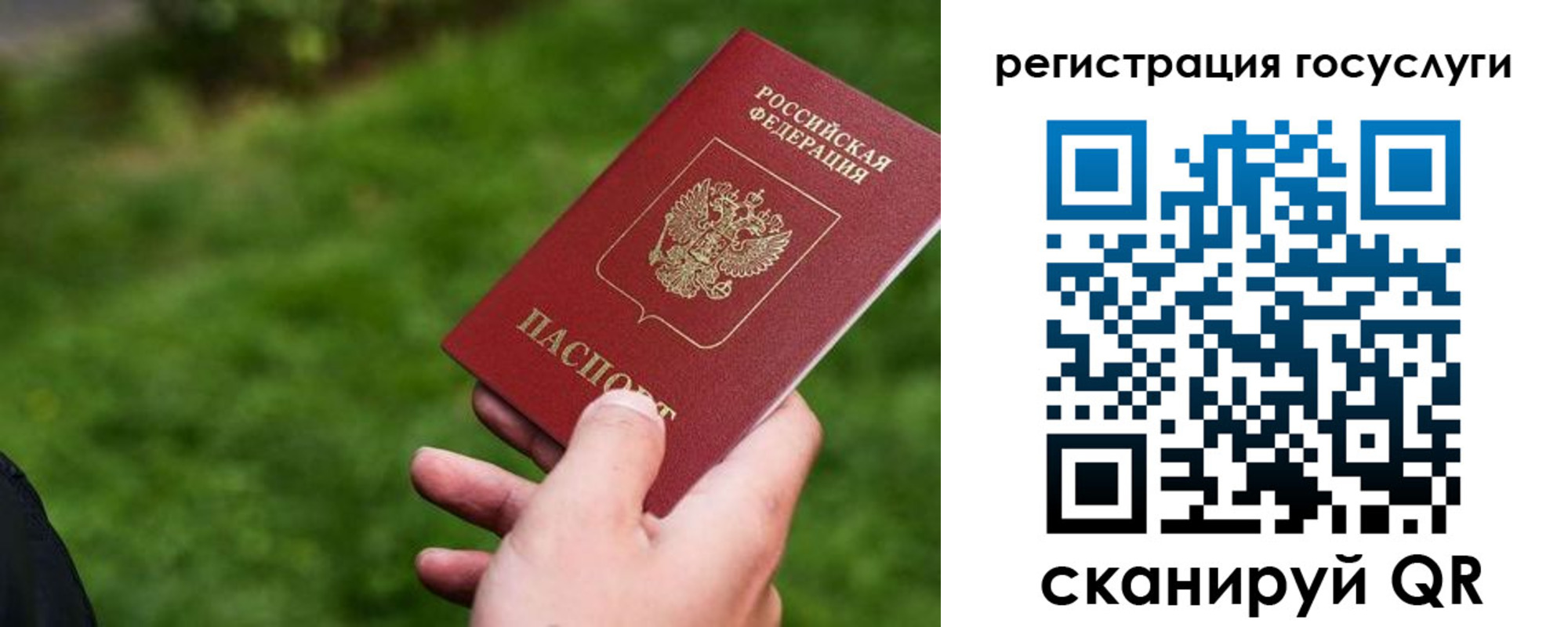 временная регистрация 2025 в Курской области